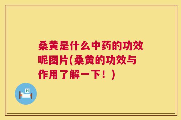桑黄是什么的功效呢图片(桑黄的功效与作用了解一下！)
