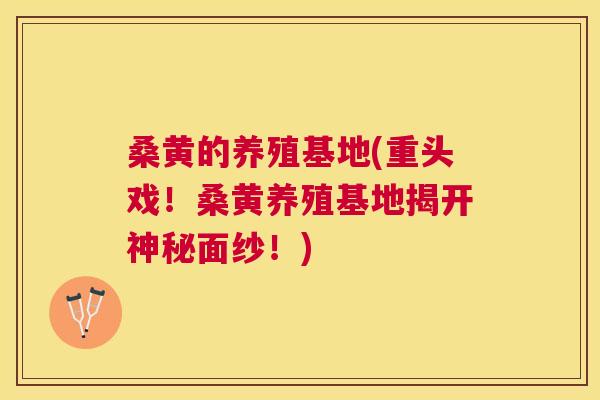 桑黄的养殖基地(重头戏！桑黄养殖基地揭开神秘面纱！)