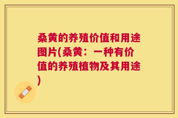 桑黄的养殖价值和用途图片(桑黄：一种有价值的养殖植物及其用途)