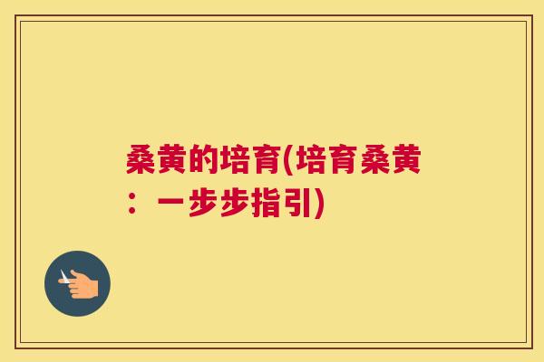 桑黄的培育(培育桑黄：一步步指引)