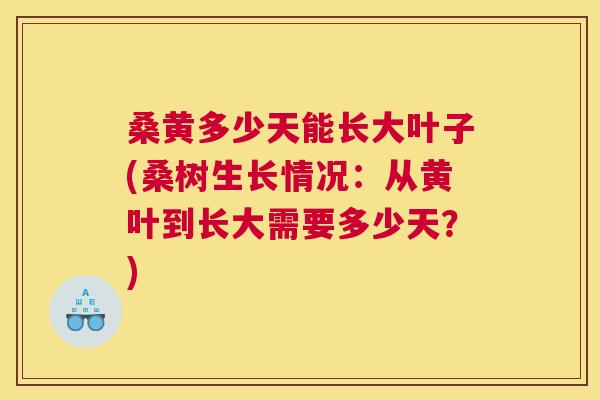 桑黄多少天能长大叶子(桑树生长情况：从黄叶到长大需要多少天？)