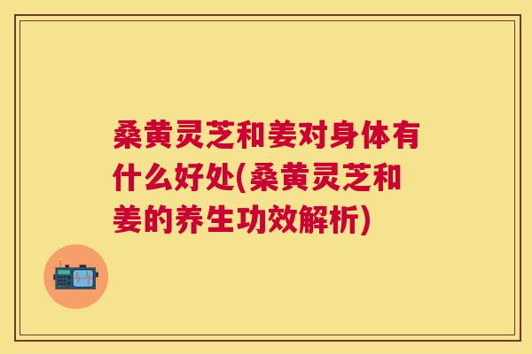 桑黄灵芝和姜对身体有什么好处(桑黄灵芝和姜的养生功效解析)