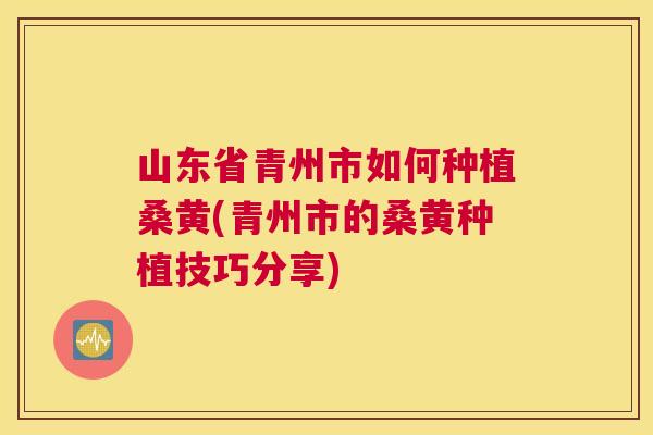 山东省青州市如何种植桑黄(青州市的桑黄种植技巧分享)