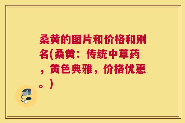 桑黄的图片和价格和别名(桑黄：传统中草药，黄色典雅，价格优惠。)
