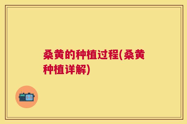 桑黄的种植过程(桑黄种植详解)