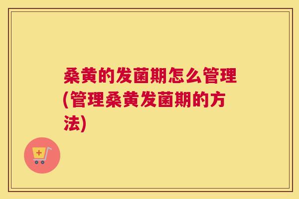 桑黄的发菌期怎么管理(管理桑黄发菌期的方法)