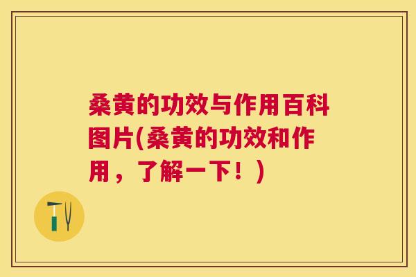 桑黄的功效与作用百科图片(桑黄的功效和作用，了解一下！)