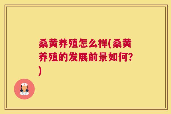 桑黄养殖怎么样(桑黄养殖的发展前景如何？)