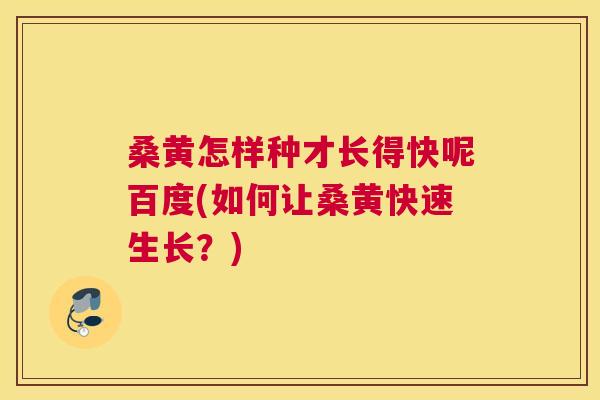 桑黄怎样种才长得快呢百度(如何让桑黄快速生长？)