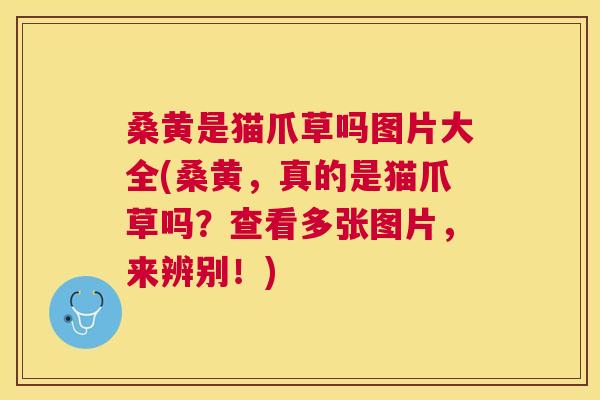 桑黄是猫爪草吗图片大全(桑黄，真的是猫爪草吗？查看多张图片，来辨别！)