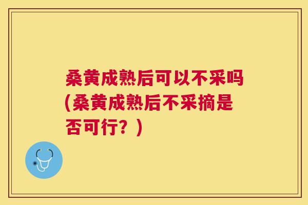 桑黄成熟后可以不采吗(桑黄成熟后不采摘是否可行？)