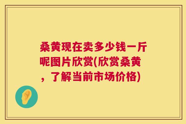 桑黄现在卖多少钱一斤呢图片欣赏(欣赏桑黄，了解当前市场价格)