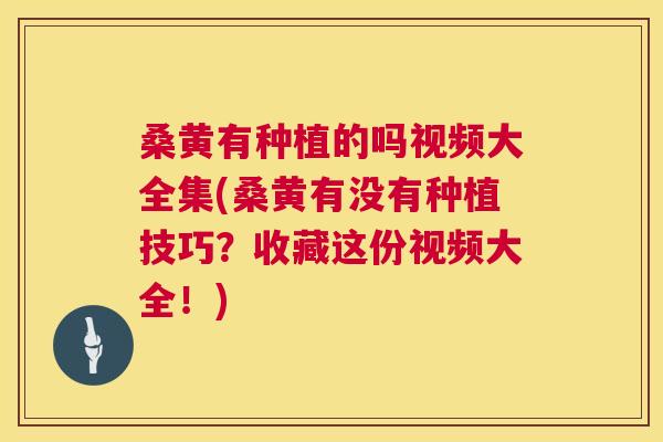 桑黄有种植的吗视频大全集(桑黄有没有种植技巧？收藏这份视频大全！)