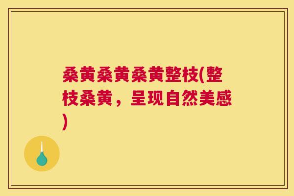桑黄桑黄桑黄整枝(整枝桑黄,呈现自然美感) 桑黄桑黄桑黄整枝(整枝桑黄,呈现自然美感)