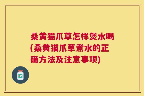 桑黄猫爪草怎样煲水喝(桑黄猫爪草煮水的正确方法及注意事项)