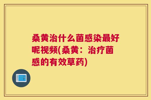 桑黄什么菌好呢视频(桑黄：菌感的有效草药)