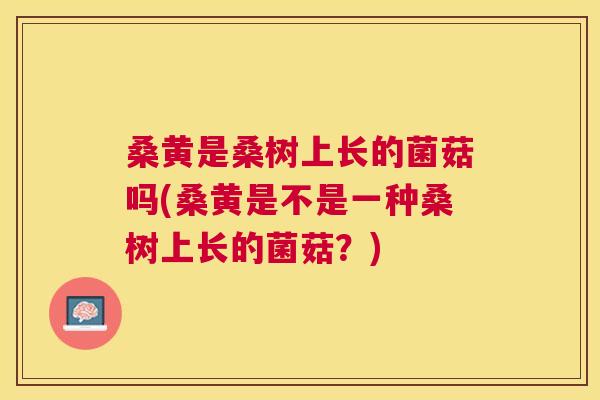 桑黄是桑树上长的菌菇吗(桑黄是不是一种桑树上长的菌菇？)