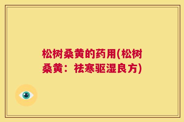 松树桑黄的药用(松树桑黄：祛寒驱湿良方)
