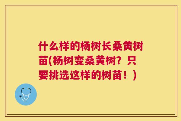 什么样的杨树长桑黄树苗(杨树变桑黄树?只要挑选这样的树苗!) 什么样的杨树长桑黄树苗(杨树变桑黄树?只要挑选这样的树苗!)
