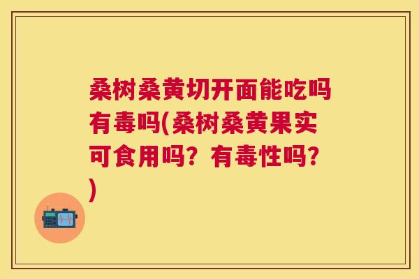 桑树桑黄切开面能吃吗有毒吗(桑树桑黄果实可食用吗?有毒性吗?) 桑树桑黄切开面能吃吗有毒吗(桑树桑黄果实可食用吗?有毒性吗?)