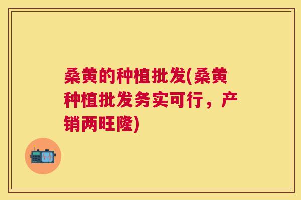 桑黄的种植批发(桑黄种植批发务实可行，产销两旺隆)