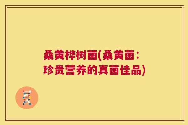 桑黄桦树菌(桑黄菌：珍贵营养的真菌佳品)